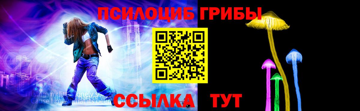 Гай  Псилоцибиновые грибы ЛСД  Вход с VPN 